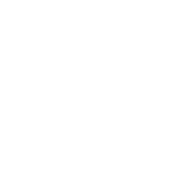 Walden Cybersecurity Solutions Logo